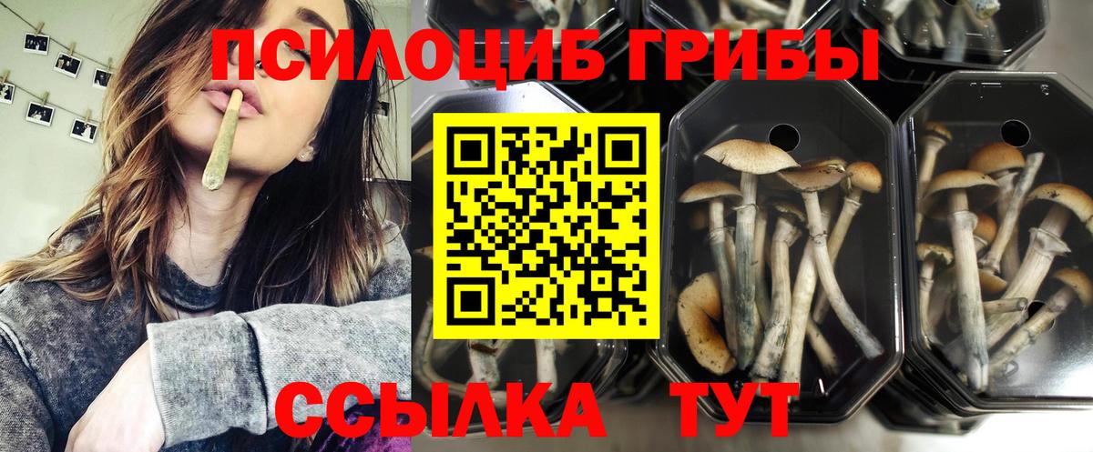 Галлюциногенные грибы мицелий  Вход с VPN  Сертолово  Галлюциногенные грибы прущие грибы 
